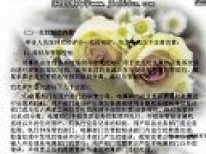 電算化會計與審計