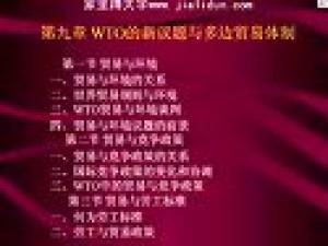 世界貿易組織法