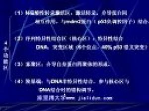 醫(yī)學(xué)遺傳學(xué)